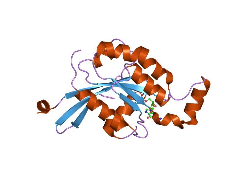 File:PDB 2fv8 EBI.jpg