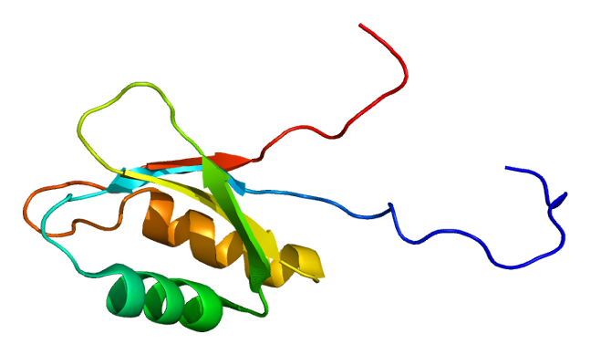 File:Protein IGF2BP3 PDB 2e44.png