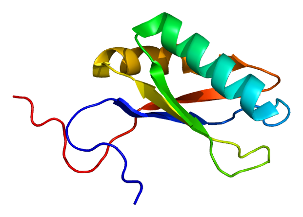 File:Protein KIAA0430 PDB 2dgx.png