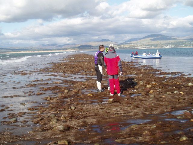 File:St Patricks Causeway-by-Ian-Warburton.jpg