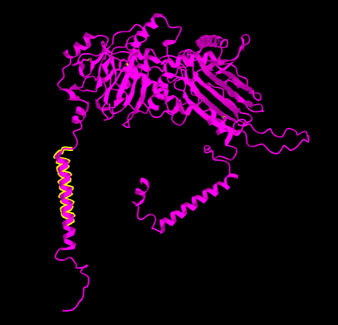 File:Transmembrane iCn3D.png