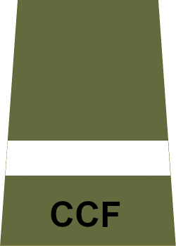 File:CCF AUO rank slide.png