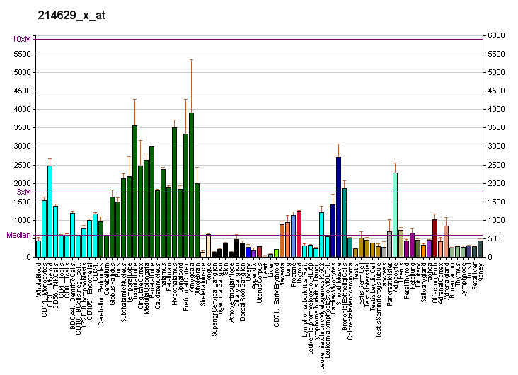 File:PBB GE RTN4 214629 x at fs.png