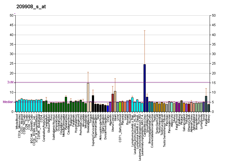 File:PBB GE TGFB2 209908 s at fs.png