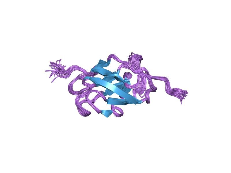 File:PDB 1hk6 EBI.jpg