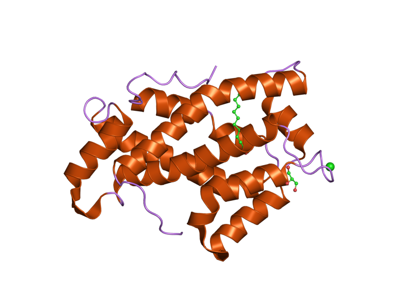 File:PDB 1tfj EBI.png