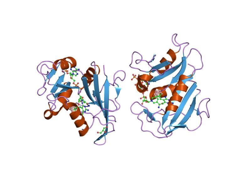 File:PDB 2c2t EBI.jpg