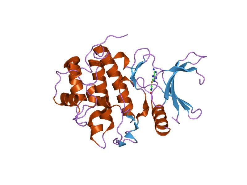 File:PDB 2cgx EBI.jpg