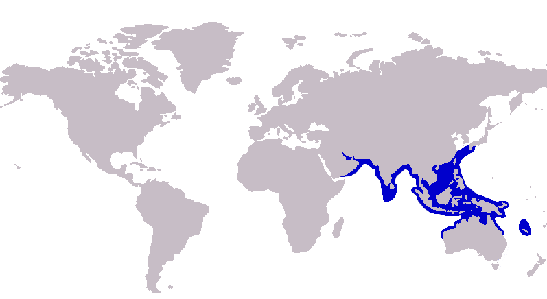 File:Selaroides leptolepis distribution.png