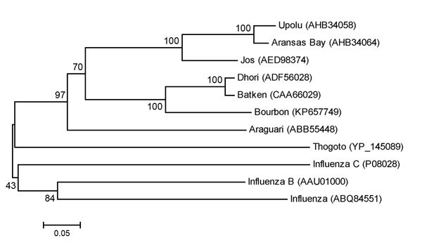 File:Thogotovirus phylogeny (EID 2015 Fig 3b).jpg