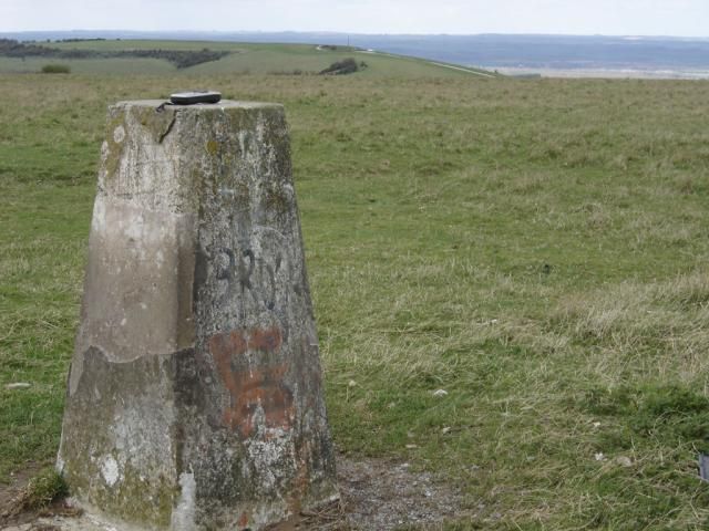 File:Walbury Hill - geograph.org.uk - 1895.jpg