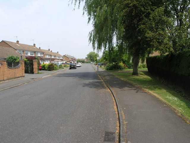 File:Willow Shade - geograph.org.uk - 186805.jpg