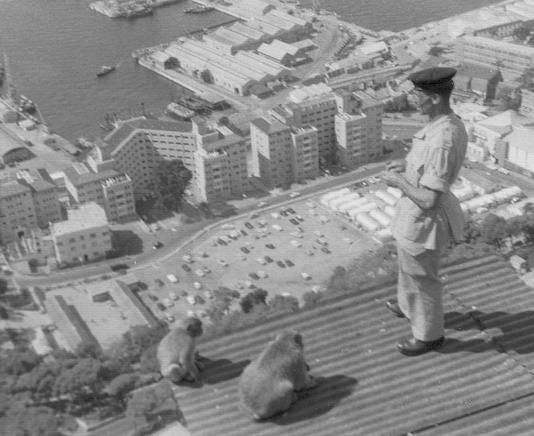 File:Alfred Holmes with Barbary Macaques.jpg