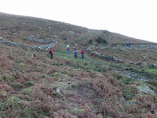 File:Carlow Mountain Trackways.jpg