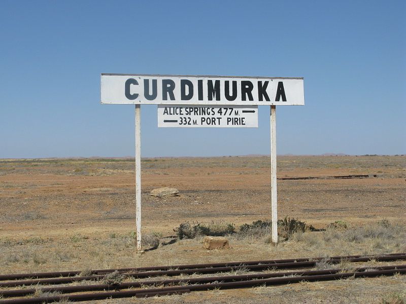 File:Curdimurka.jpg