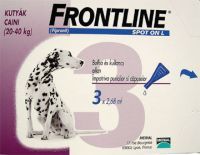 File:Frontline.jpg