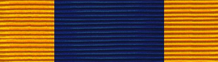 File:MTNG Service Ribbon.PNG