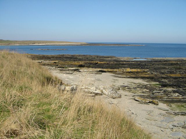 File:Murkle Bay - geograph.org.uk - 1235572.jpg