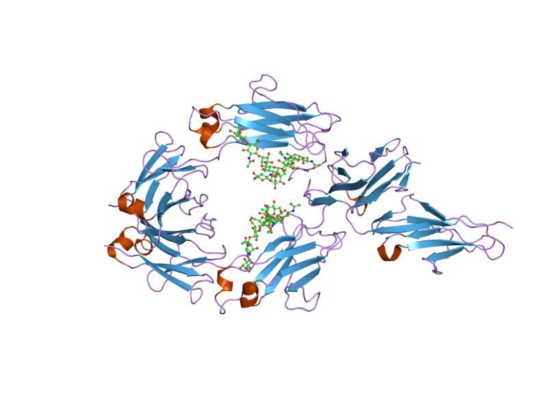 File:PDB 1e4k EBI.jpg