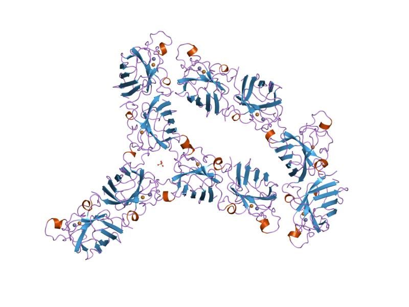 File:PDB 1fun EBI.jpg