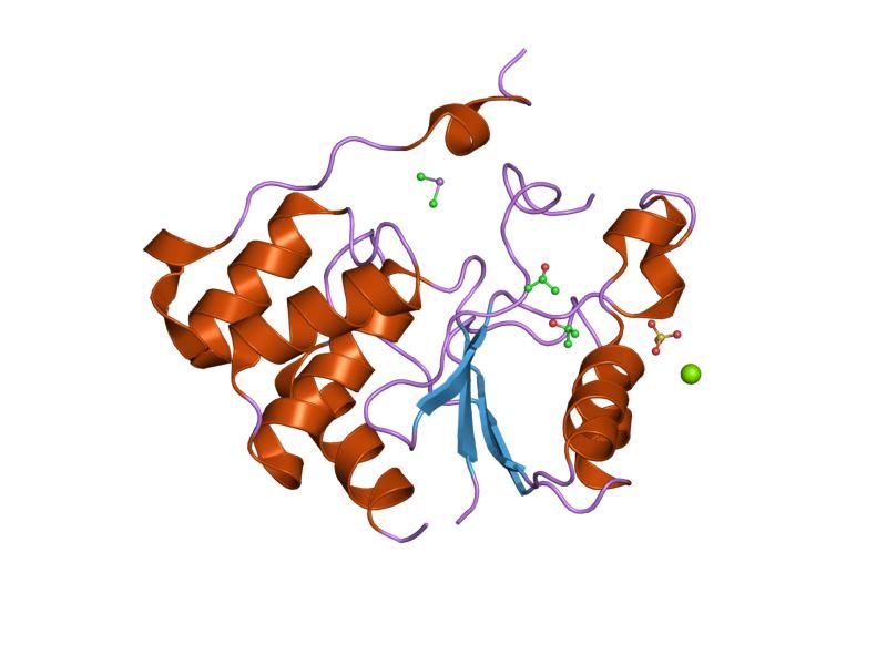 File:PDB 1i9s EBI.jpg