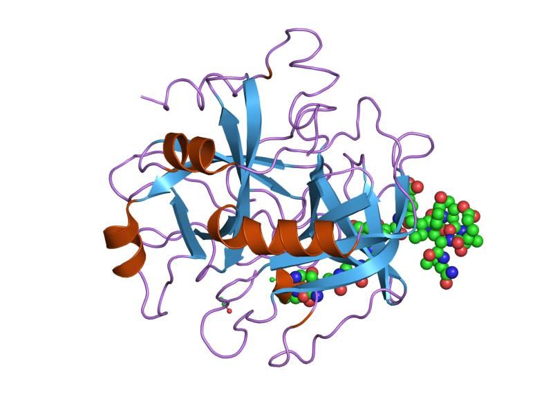 File:PDB 1ihs EBI.jpg