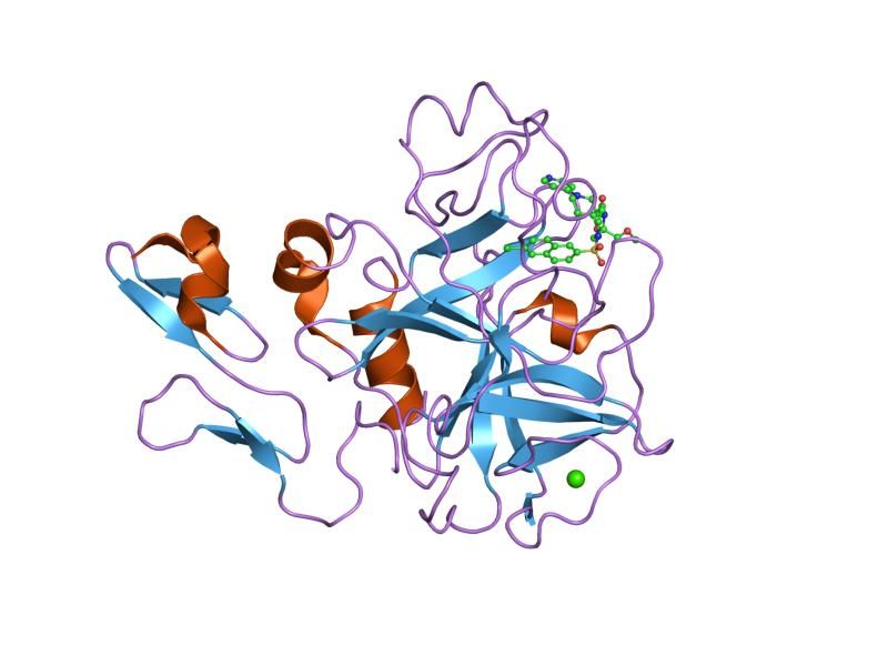 File:PDB 1ioe EBI.jpg