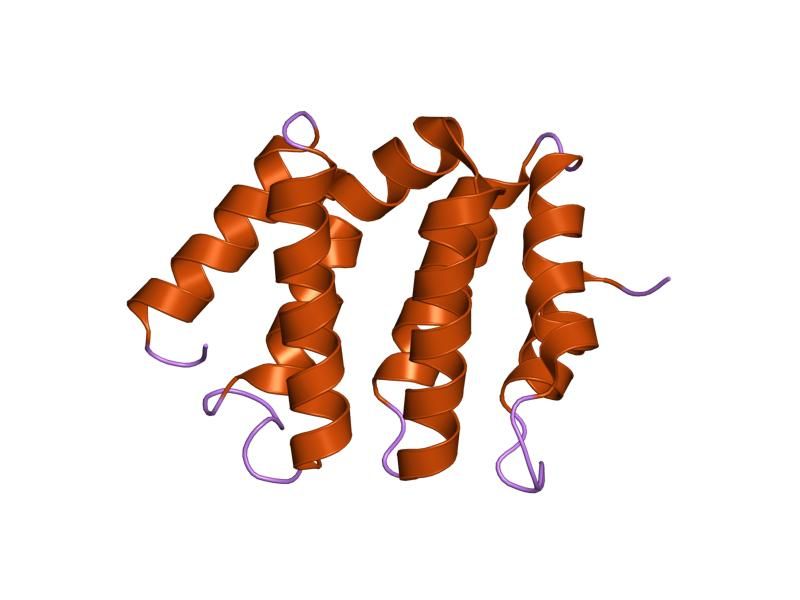 File:PDB 1jwf EBI.jpg