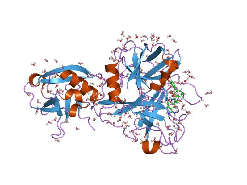 File:PDB 1o5e EBI.jpg