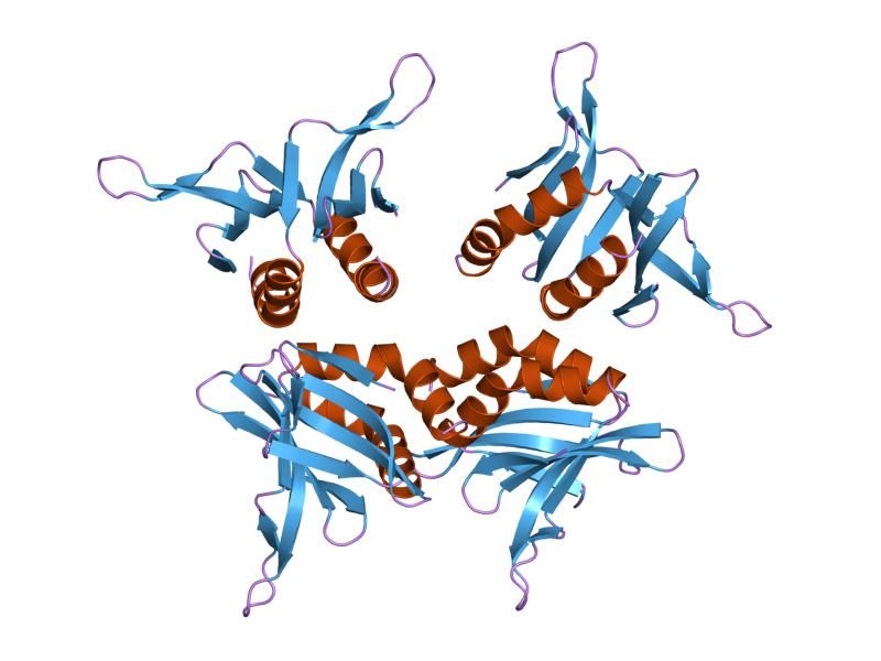 File:PDB 1pcf EBI.jpg