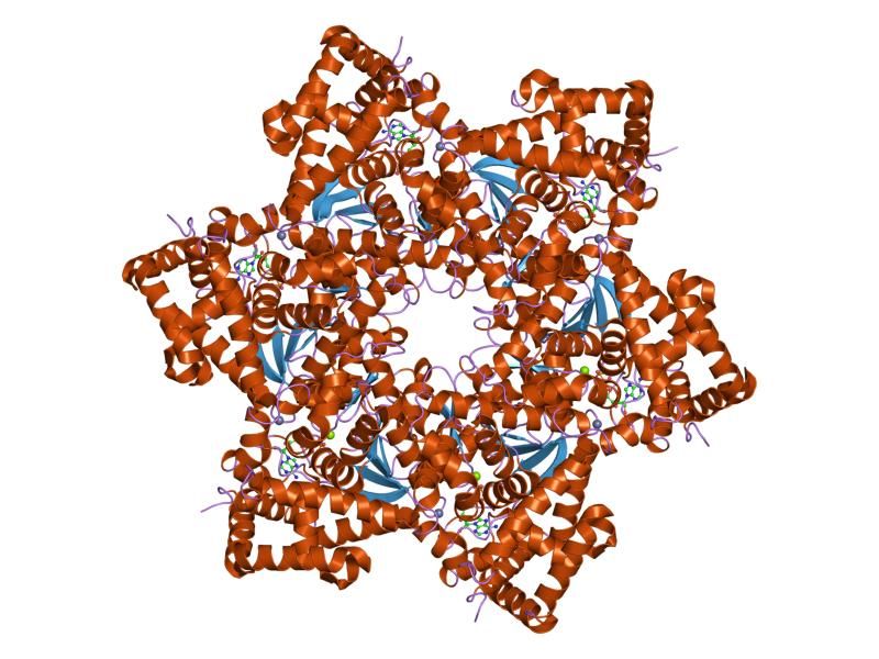 File:PDB 1svm EBI.jpg