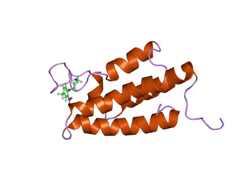 File:PDB 1wug EBI.jpg