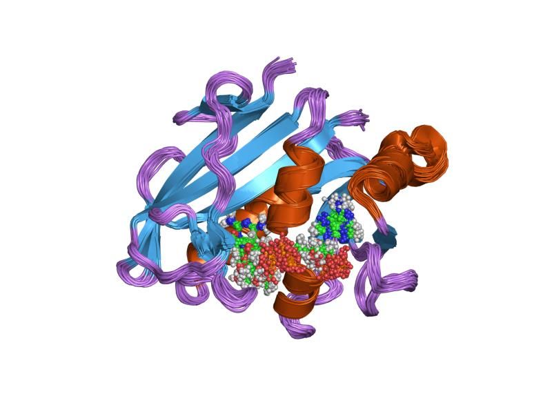 File:PDB 1yho EBI.jpg