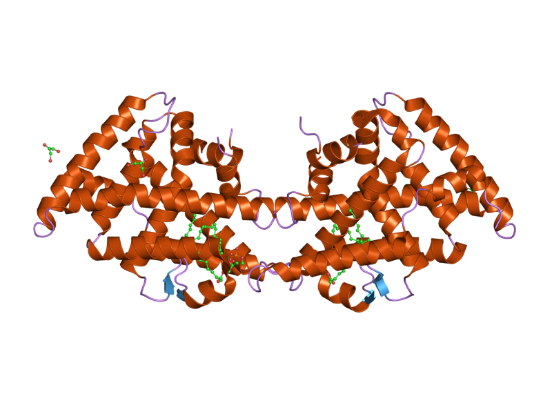 File:PDB 1yuc EBI.png