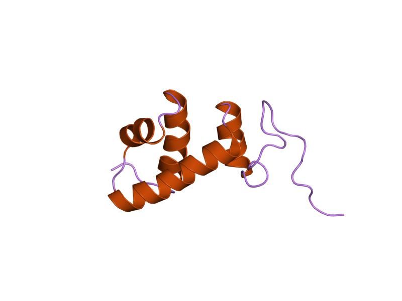 File:PDB 2aqf EBI.jpg