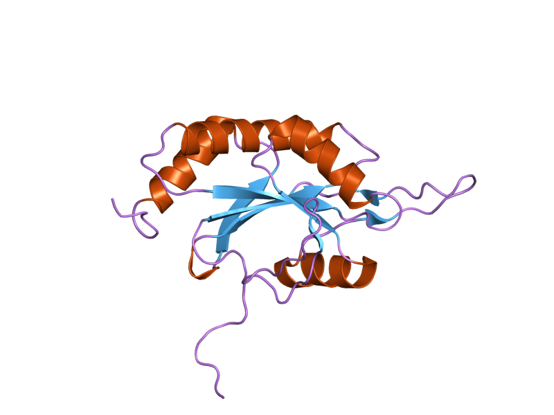 File:PDB 2gql EBI.png