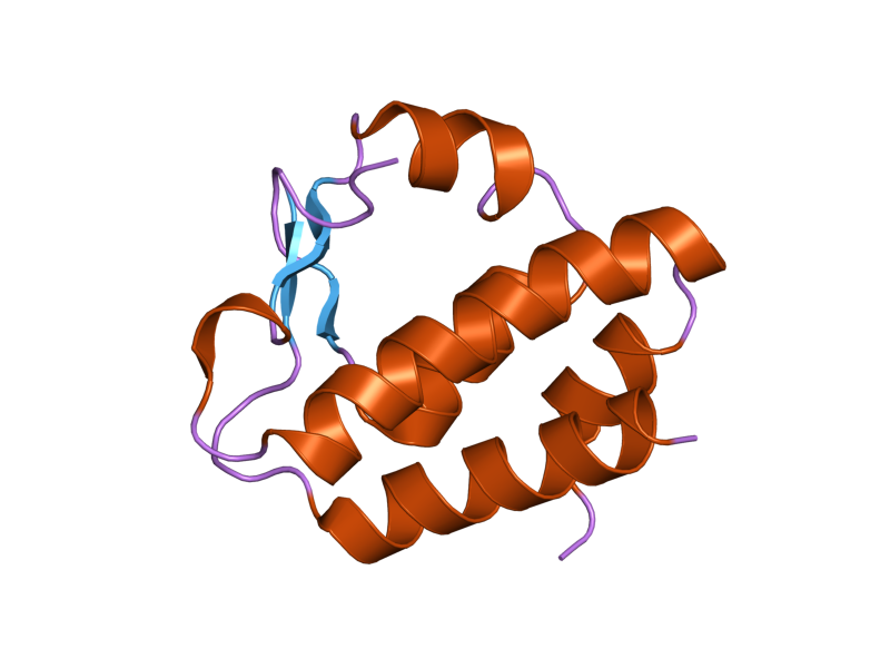 File:PDB 2hpl EBI.png