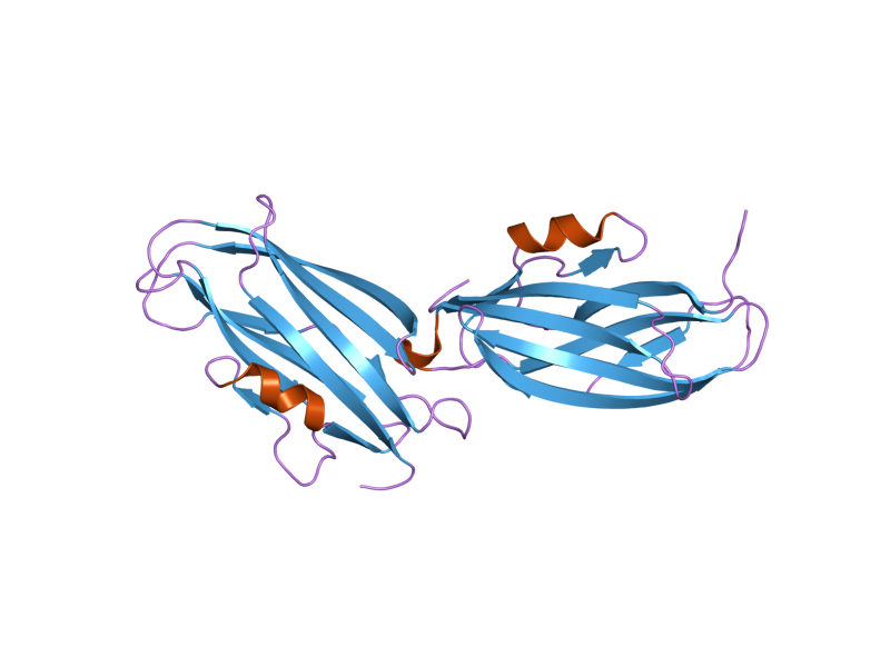 File:PDB 2jhx EBI.png