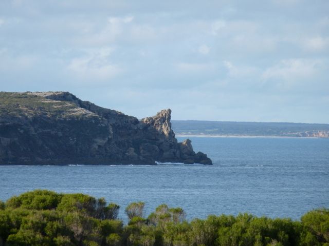 File:Rhino Head, Stenhouse Bay.JPG