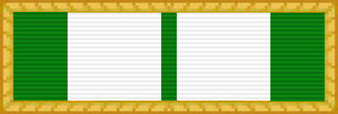 File:SGAUS Superior Unit Award.png