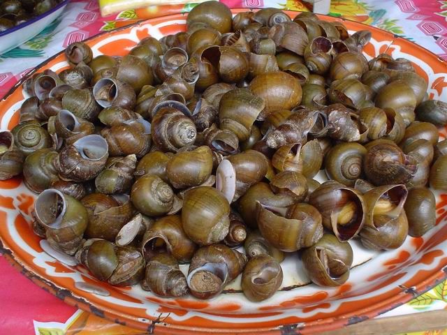 File:A plate of cooked river snails.jpg