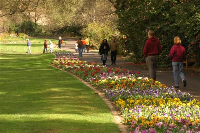 File:Descanso Gardens walkway.JPG