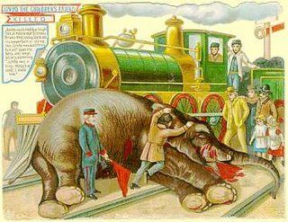 File:Jumbo is killed postcard.jpg