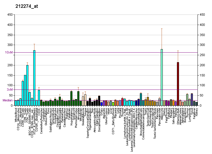 File:PBB GE LPIN1 212274 at fs.png