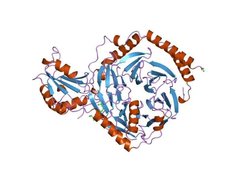 File:PDB 1a0r EBI.jpg