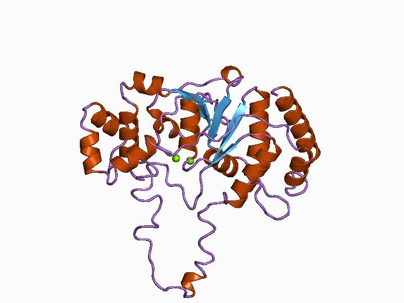 File:PDB 1a77 EBI.jpg