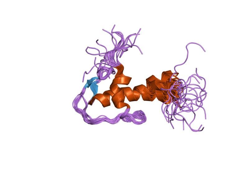 File:PDB 1h0z EBI.jpg