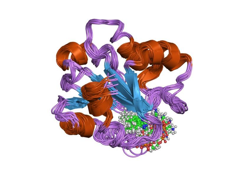 File:PDB 1id8 EBI.jpg