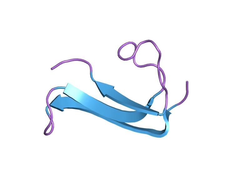 File:PDB 1mkc EBI.jpg