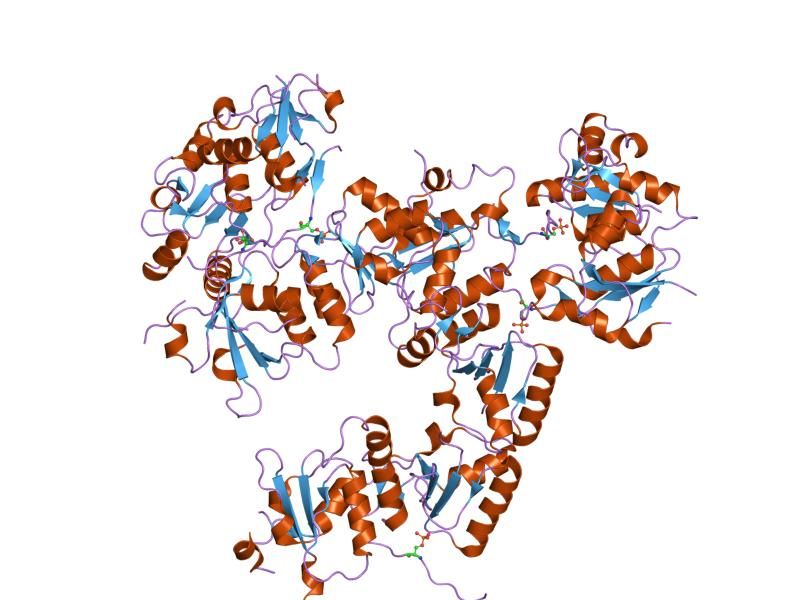 File:PDB 1t2v EBI.jpg